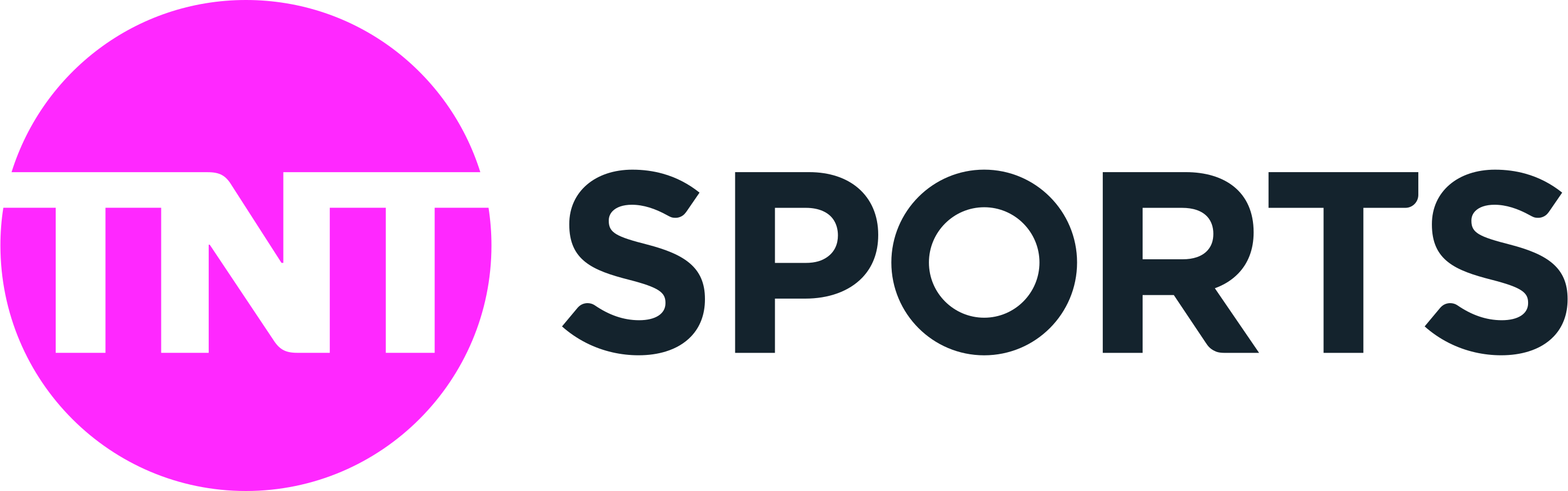 Partner Logo